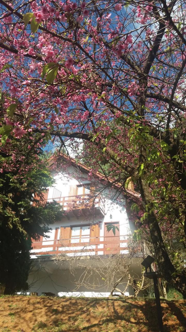Lauterbrunnen Chalet