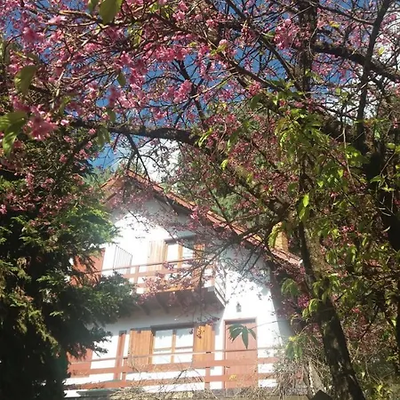 Chalés Lauterbrunnen Monte Verde  Exterior foto